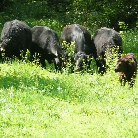 מלון Untere Kapfenhardter Muehle Unterreichenbach