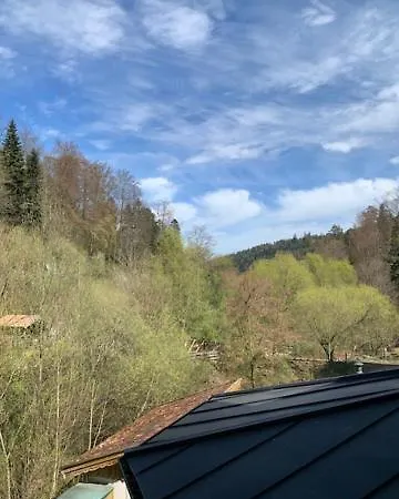Untere Kapfenhardter Muehle 3* Unterreichenbach